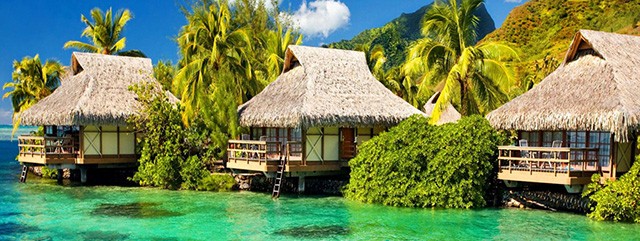 5Ҽ̖(ho)ٴδʳ΄(w)(yng)(jng)N̸Z